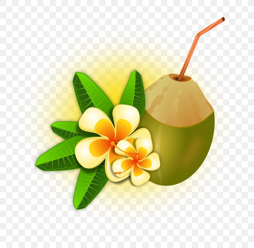Pixf1a Colada Tropics Coconut Water Free Content Clip Art, PNG, 800x800px, Pixf1a Colada, Arecaceae, Coconut Water, Drink, Flower Download Free
