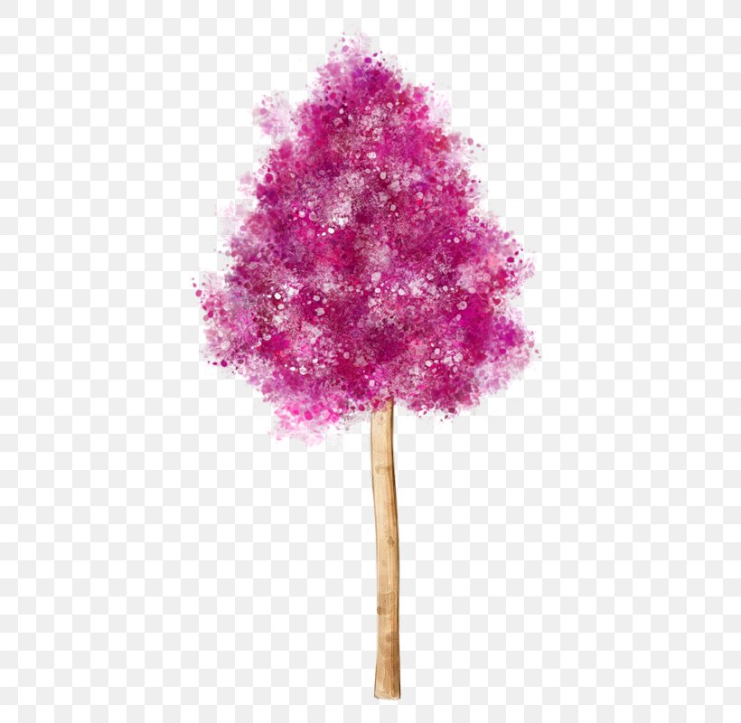 Tree Image Clip Art Cherry Blossom, PNG, 565x800px, Tree, Blossom, Cherry Blossom, Christmas Tree, Digital Image Download Free