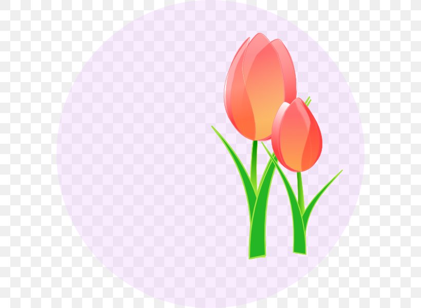 Tulip Flower Clip Art, PNG, 600x600px, Tulip, Flower, Flowering Plant, Lily Family, Petal Download Free