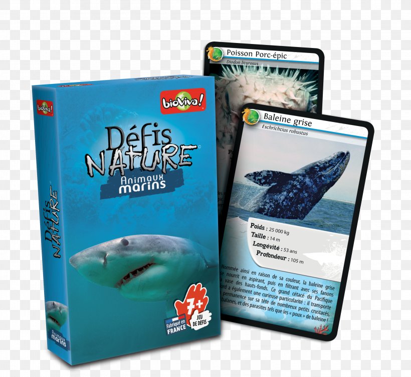 Bioviva Défis Nature Le Grand Jeu Game Animal Bioviva Défis Nature Le Grand Jeu, PNG, 2953x2717px, Bioviva, Animal, Brand, Card Game, Dolphin Download Free