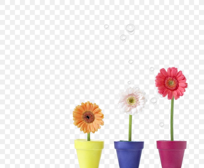 Flowerpot, PNG, 740x676px, Flowerpot, Artificial Flower, Crock, Cut Flowers, Daisy Family Download Free