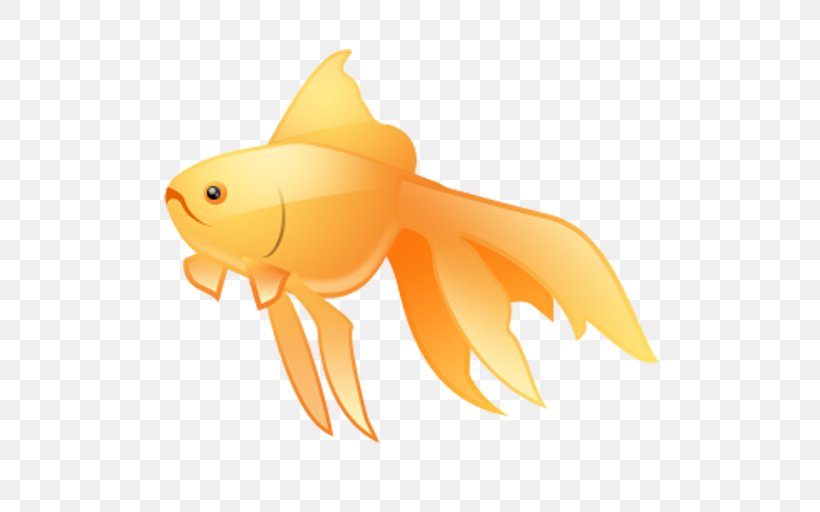 Goldfish, PNG, 512x512px, Goldfish, Bony Fish, Fin, Fish, Macquarium Download Free