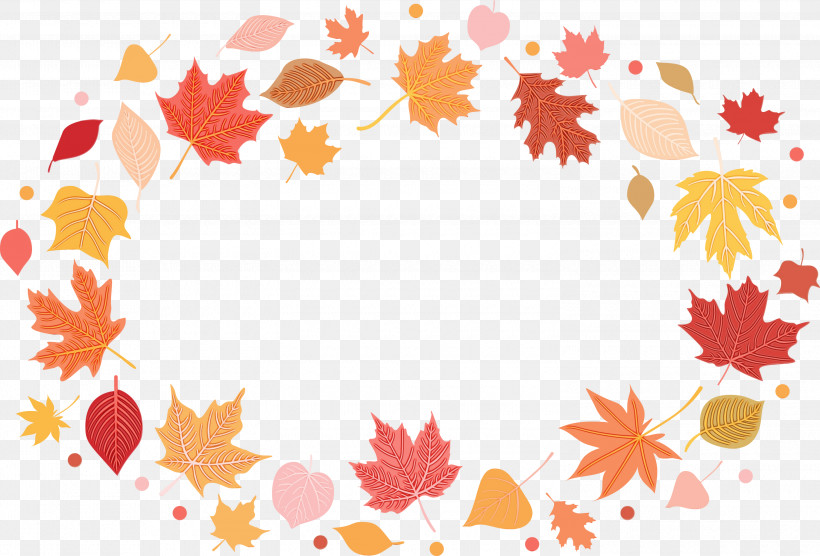 Maple Leaf, PNG, 3000x2036px, Autumn Frame, Area, Autumn Leaves Frame, Biology, Floral Design Download Free