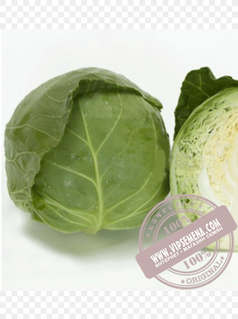 Napa Cabbage Seed Price Cultivar, PNG, 1000x1340px, Cabbage, Artikel, Brassica Oleracea, Brussels Sprout, Business Download Free