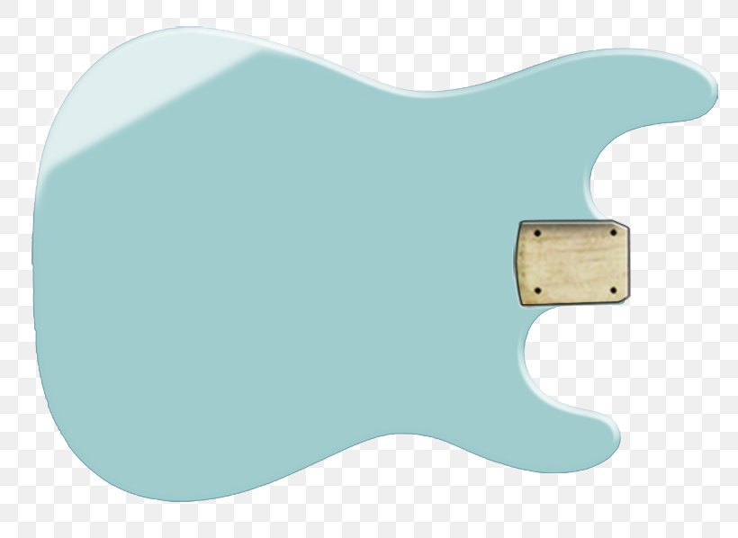Plucked String Instrument Material, PNG, 800x598px, Plucked String Instrument, Aqua, Blue, Carnivora, Carnivoran Download Free
