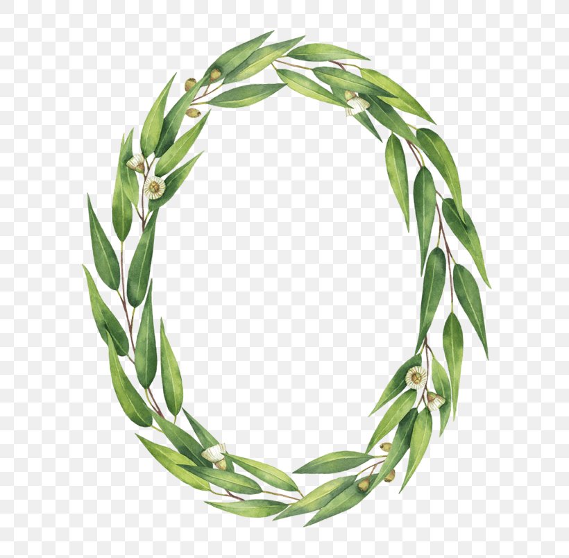 Vector Graphics Wreath Leaf Watercolor Painting Branch, PNG, 804x804px, Wreath, Branch, Ellipse, Grass, Gum Trees Download Free