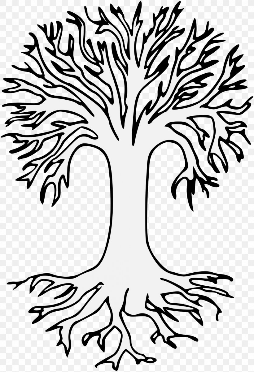 Branch Tree Root Oak Image, PNG, 1003x1471px, Branch, Art, Artwork, Beak, Black And White Download Free