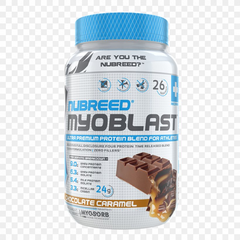 Dietary Supplement Myoblast Protein Branched-chain Amino Acid Muscle, PNG, 1200x1200px, Dietary Supplement, Branchedchain Amino Acid, Flavor, Health, Life Download Free