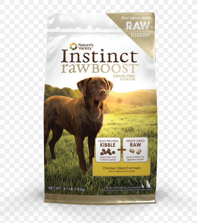 Dog Food Raw Foodism Puppy Cat Food, PNG, 1000x1133px, Dog, Carnivoran, Cat Food, Chicken Meal, Dog Breed Download Free