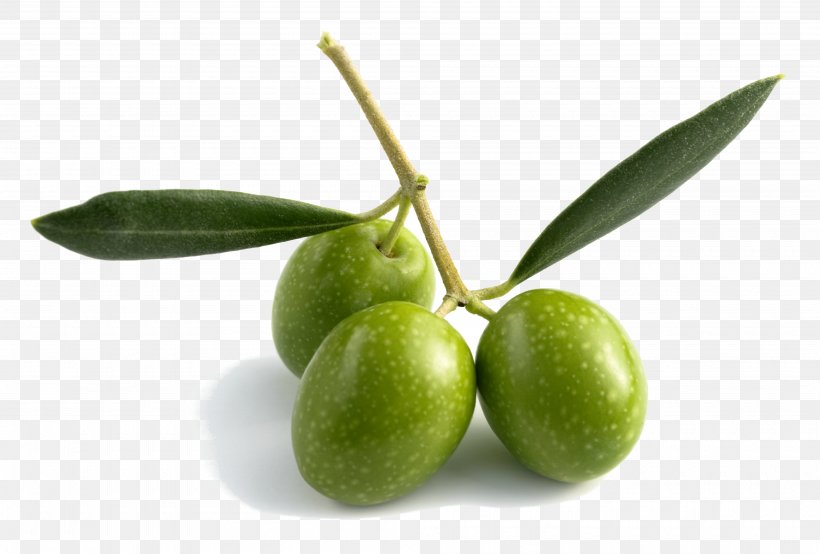 Olive Oil Olive Leaf Fruit, PNG, 4000x2706px, Olive Oil, Coconut Oil, Extract, Food, Fruit Download Free