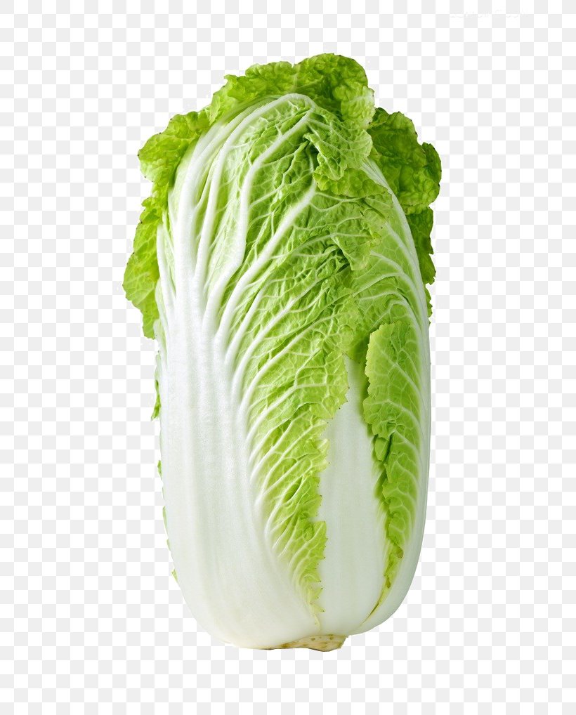 Red Cabbage Cauliflower Kohlrabi Napa Cabbage, PNG, 686x1018px, Cabbage, Bildtafel Obst Und Gemxfcse, Brassica Oleracea, Cauliflower, Celery Download Free