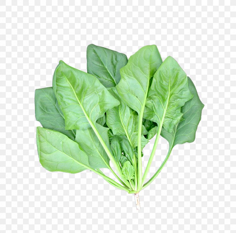 Spinach Leaf Vegetable Food, PNG, 1032x1020px, Spinach, Bok Choy, Brassica Juncea, Chard, Chinese Cabbage Download Free