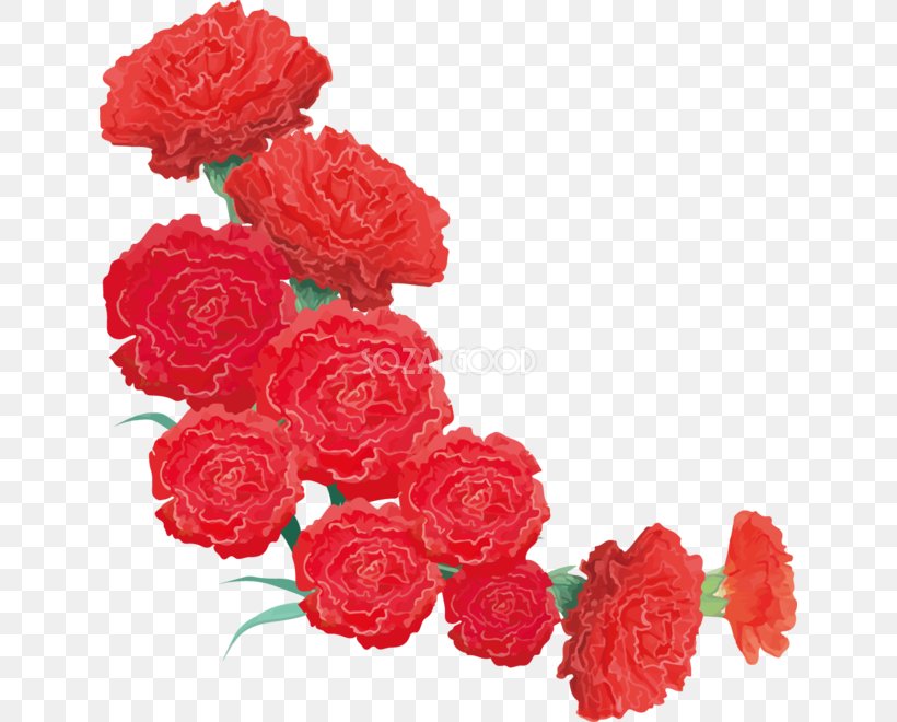 Carnation Garden Roses Cut Flowers, PNG, 638x660px, Carnation, Artificial Flower, Cut Flowers, Floral Design, Floristry Download Free