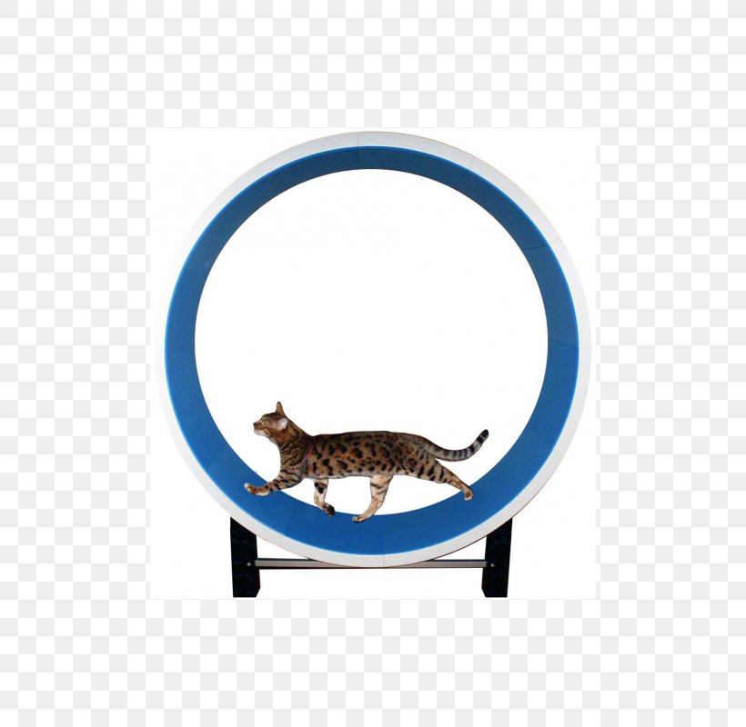 Cat Play And Toys Mouse Clip Art Felidae, PNG, 490x800px, Cat, Carnivoran, Carnivores, Cat Play And Toys, Dog Download Free