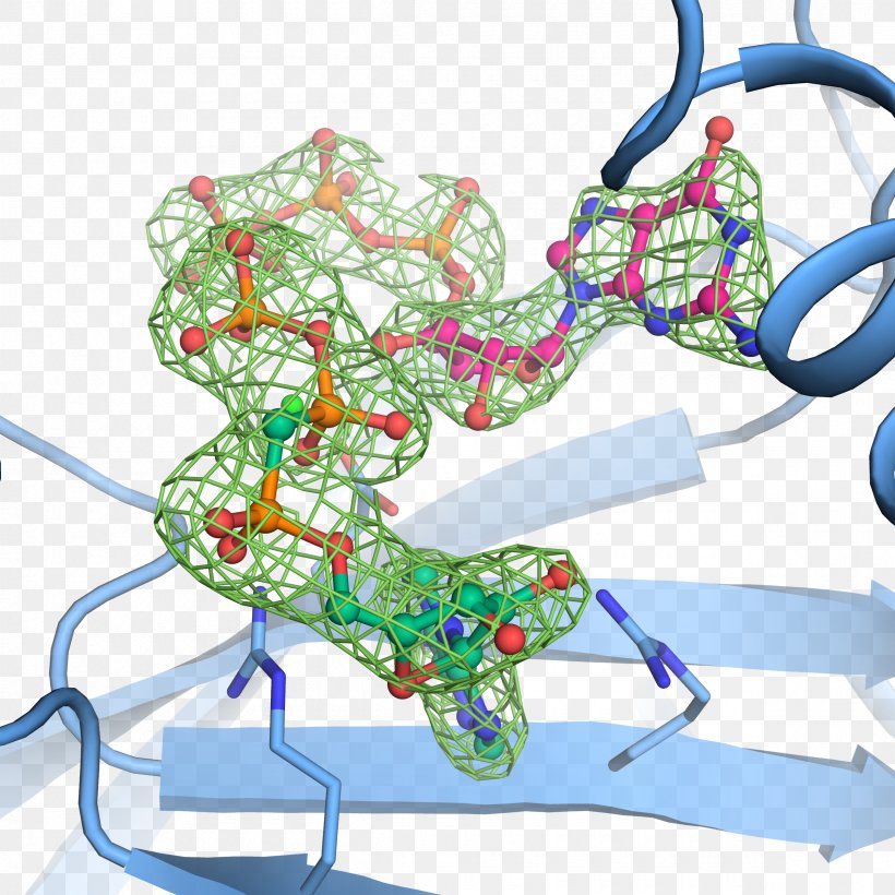 Molecular Biology Guanosine Pentaphosphate Structural Biology Genetics, PNG, 2400x2400px, Molecular Biology, Adenosine Triphosphate, Area, Biology, Enzyme Download Free