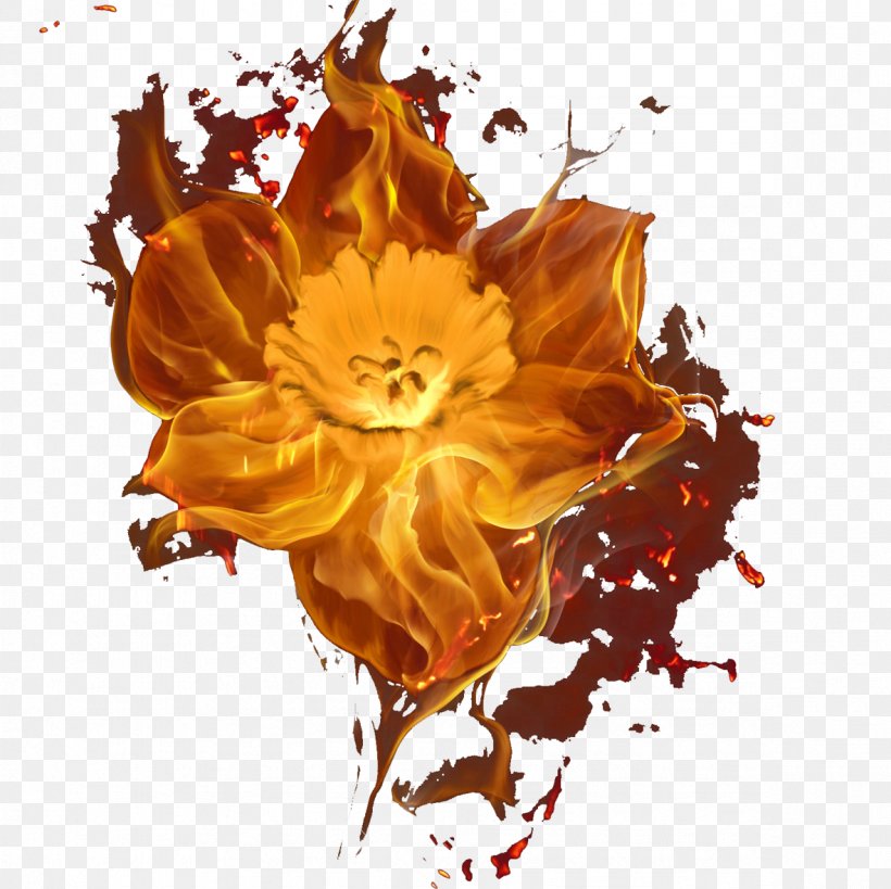 Touching Eternity Fire Flower Combustion, PNG, 1181x1181px, Fire, Art, Combustion, Cut Flowers, Flame Download Free