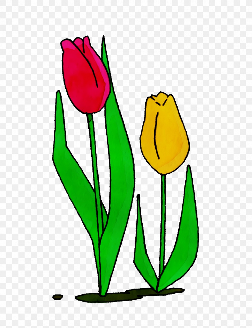Tulip Plant Stem Leaf Cut Flowers Petal, PNG, 1200x1562px, Watercolor, Biology, Cut Flowers, Flower, Leaf Download Free
