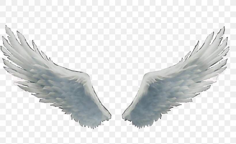Feather, PNG, 1270x780px, Watercolor, Angel, Fashion Accessory, Feather, Fictional Character Download Free