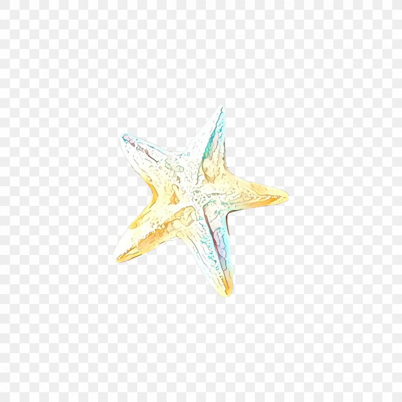Jewellery Starfish, PNG, 2400x2400px, Cartoon, Jewellery, Star, Starfish, Turquoise Download Free