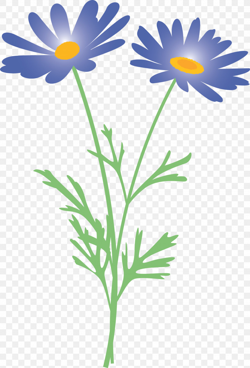 Marguerite Flower Spring Flower, PNG, 2037x2999px, Marguerite Flower, African Daisy, Camomile, Chamomile, Daisy Download Free