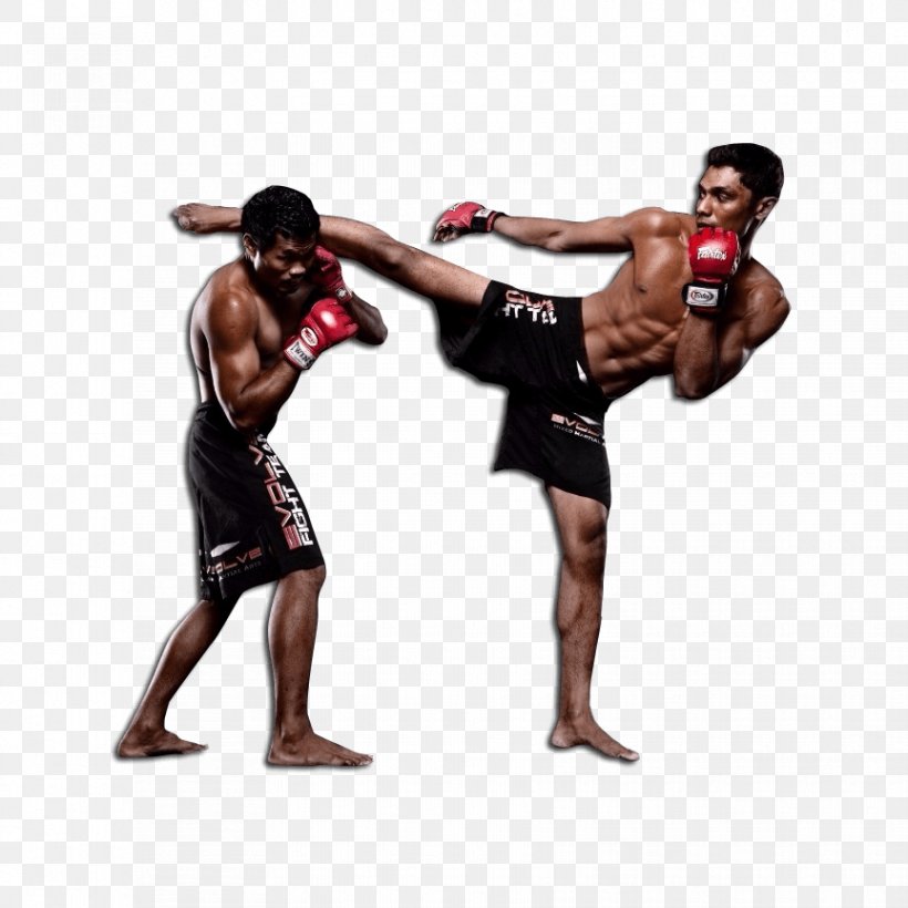 Mixed Martial Arts Combat Sport Pradal Serey Strike Sanshou, PNG, 864x864px, Mixed Martial Arts, Aggression, Arm, Boxing, Boxing Equipment Download Free