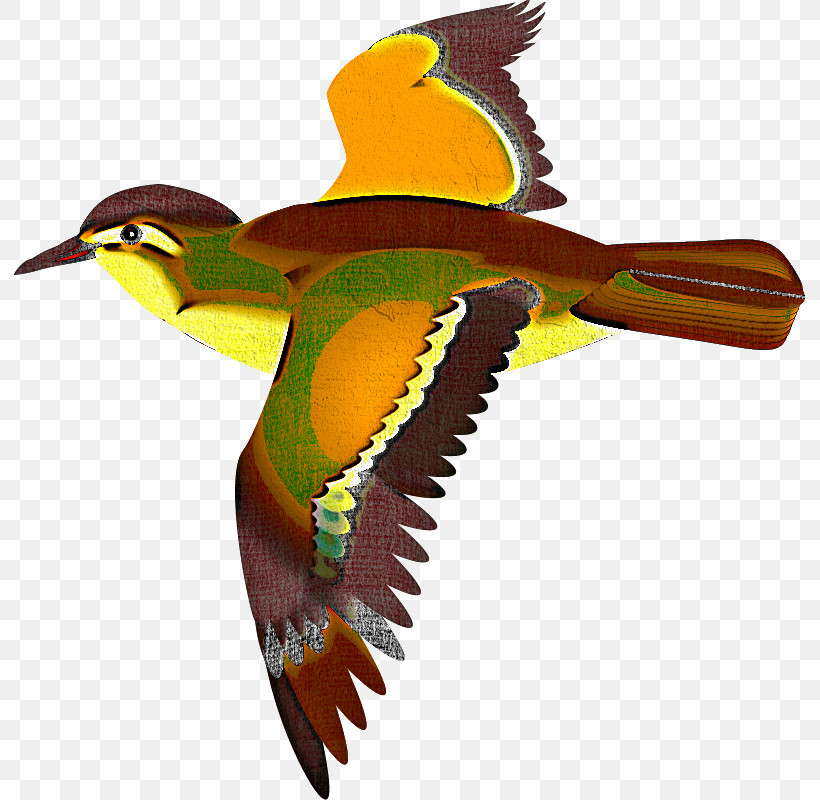Beak Birds Coraciiformes Oystercatchers Swan Goose, PNG, 791x800px, Beak, Bird Migration, Birds, Common Kingfisher, Coraciiformes Download Free