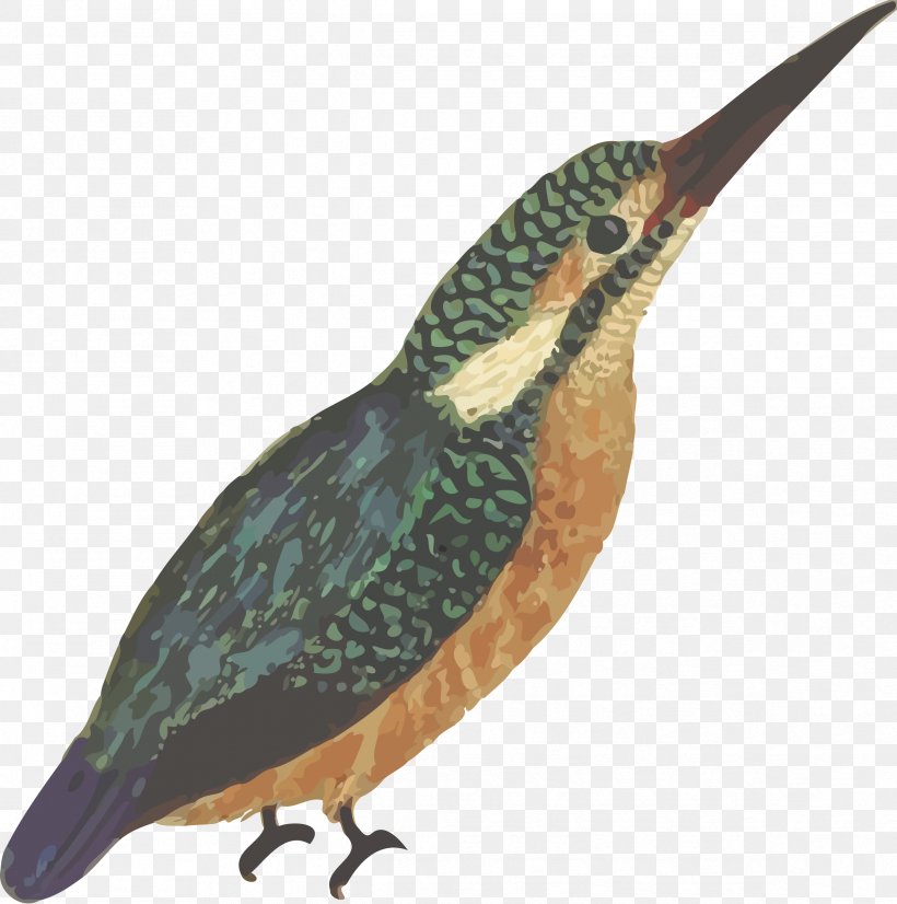 Bird Beak Common Kingfisher, PNG, 2381x2400px, Bird, Aile, Beak, Color, Common Kingfisher Download Free