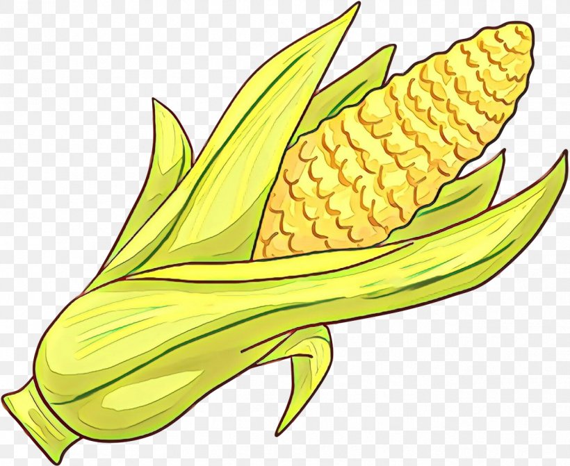 Corn On The Cob Plant Corn Leaf Clip Art, PNG, 1273x1043px, Cartoon, Anthurium, Corn, Corn On The Cob, Flower Download Free