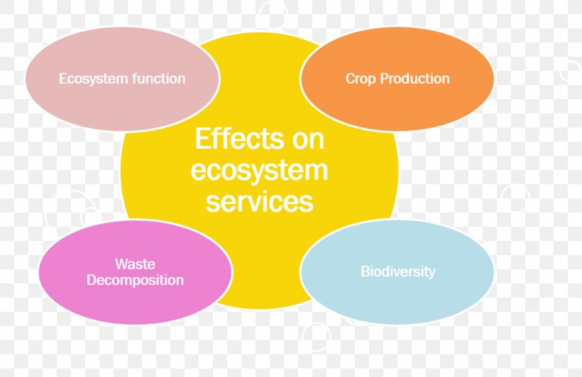 Ecotoxicology Ecosystem Services Ecology, PNG, 1097x713px, Ecotoxicology, Adverse Effect, Area, Biodiversity, Brand Download Free