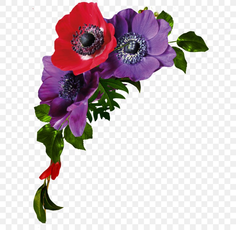 Floral Design Flower Clip Art, PNG, 800x800px, Floral Design, Anemone, Annual Plant, Blog, Cut Flowers Download Free