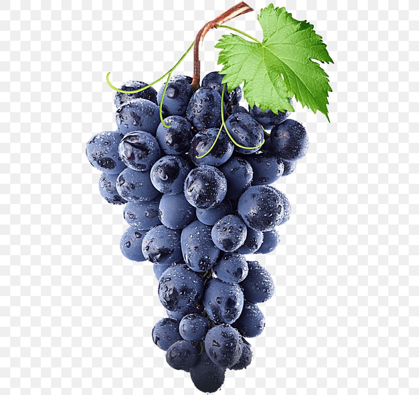 Concord Grape White Wine Kyoho, PNG, 489x774px, Concord Grape, Berry, Bilberry, Blueberry, Common Grape Vine Download Free