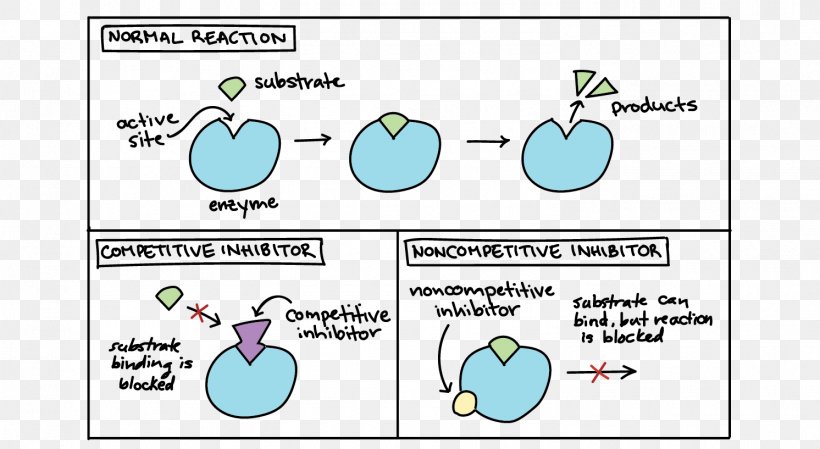 Non-competitive Inhibition Enzyme Inhibitor Uncompetitive Inhibitor, PNG, 1492x817px, Watercolor, Cartoon, Flower, Frame, Heart Download Free