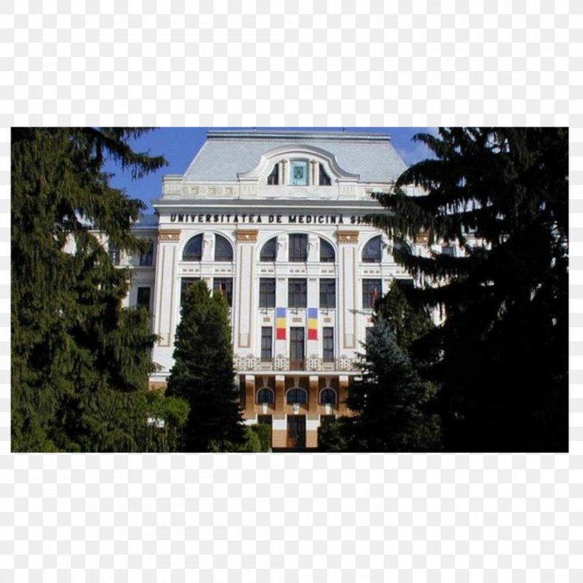 University Of Medicine And Pharmacy Of Târgu Mureș Petru Maior University Of Târgu Mureș 1 Decembrie 1918 University, Alba Iulia, PNG, 1000x1000px, University, Anatomy, Building, Education, Estate Download Free