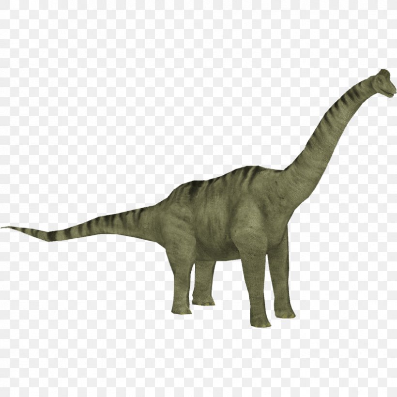 Zoo Tycoon 2 Brachiosaurus Jurassic Park: Operation Genesis Jurassic Park III: Park Builder Camarasaurus, PNG, 828x828px, Zoo Tycoon 2, Allosaurus, Animal Figure, Apatosaurus, Brachiosaurus Download Free