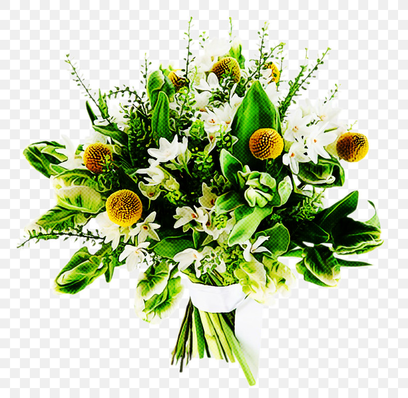 Floral Design, PNG, 800x800px, Flower, Bouquet, Cut Flowers, Floral Design, Floristry Download Free