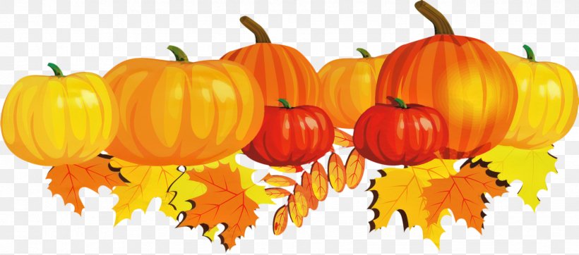 Jack-o'-lantern Gourd Winter Squash Pumpkin Calabaza, PNG, 1851x818px, Jackolantern, Calabaza, Food, Fruit, Gourd Download Free