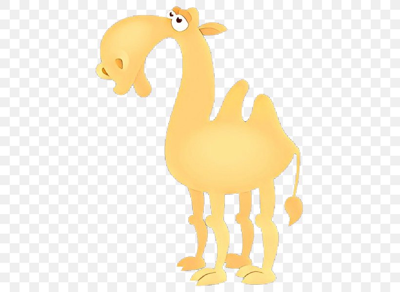 Livestock Wildlife - Llama Cartoon PNG