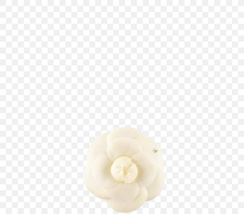 Petal, PNG, 564x720px, Petal, White Download Free