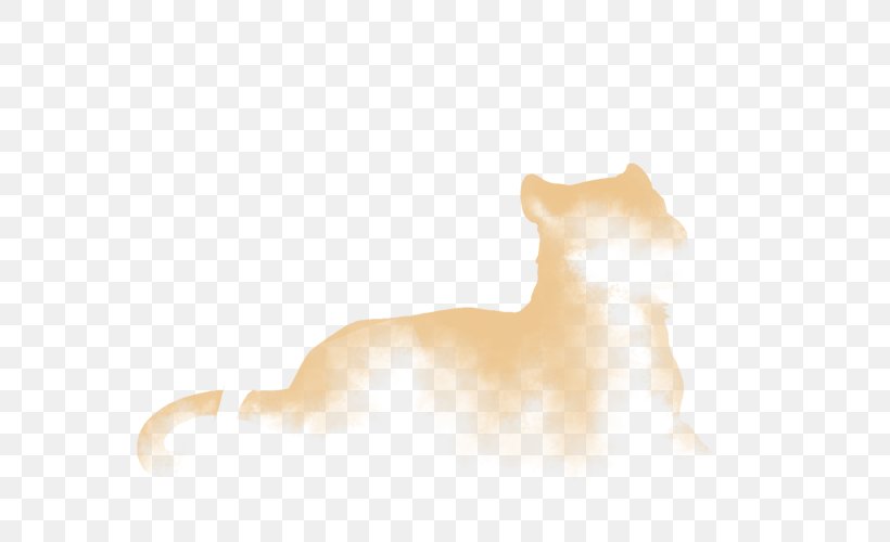 Whiskers Cat Dog Snout Desktop Wallpaper, PNG, 640x500px, Whiskers, Canidae, Carnivoran, Cat, Cat Like Mammal Download Free