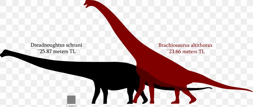 Brachiosaurus Dreadnoughtus Spinosaurus Tyrannosaurus Argentinosaurus, PNG, 3023x1280px, Brachiosaurus, Animal, Argentinosaurus, Beak, Dinosaur Download Free