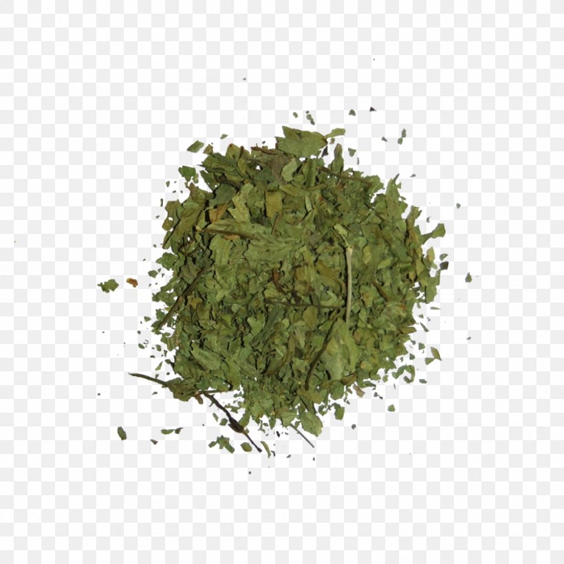 Herb Leaf, PNG, 1024x1024px, Tree, Grass, Herb, Leaf, Leaf Vegetable Download Free