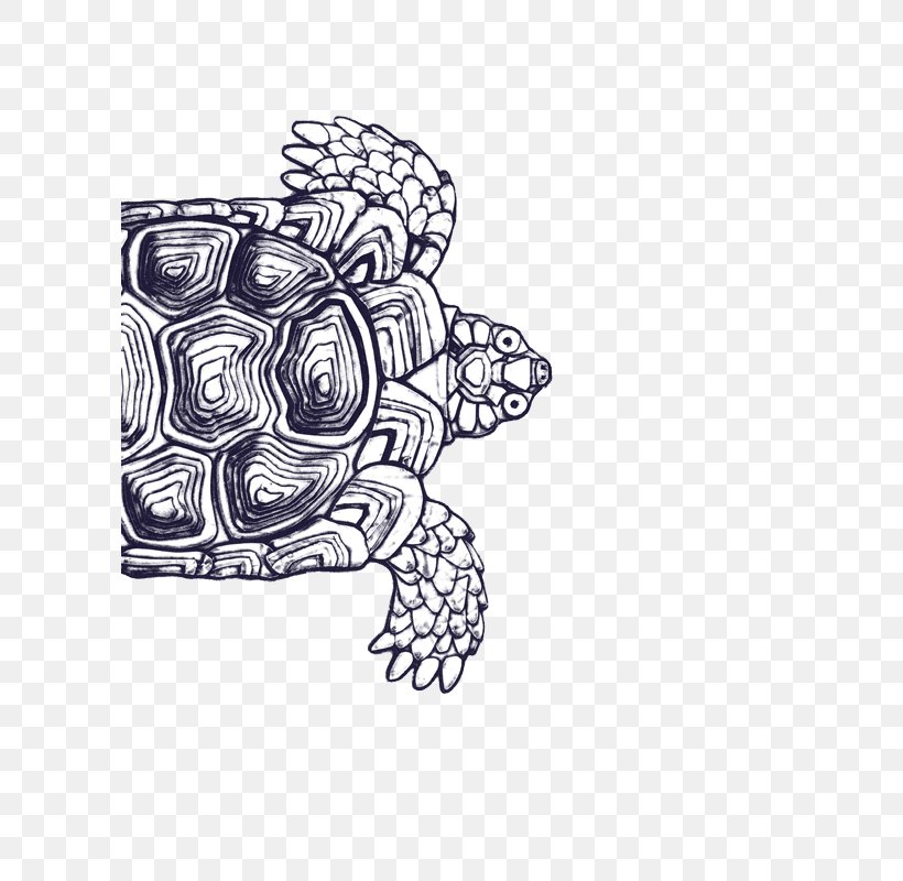 Centre National Des Arts Plastiques Imprimerie Nationale Tortoise Drawing, PNG, 600x800px, Centre National Des Arts Plastiques, Alice Savoie, Art, Black And White, Drawing Download Free