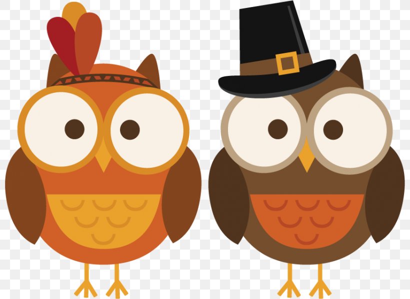 Owl Thanksgiving Cuisine Of The United States Turkey Clip Art, PNG, 800x599px, Owl, Autumn, Beak, Bird, Bird Of Prey Download Free
