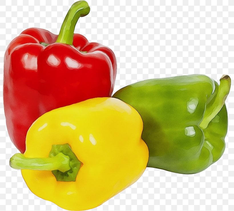Pimiento Bell Pepper Natural Foods Red Bell Pepper Bell Peppers And Chili Peppers, PNG, 800x741px, Watercolor, Bell Pepper, Bell Peppers And Chili Peppers, Capsicum, Food Download Free
