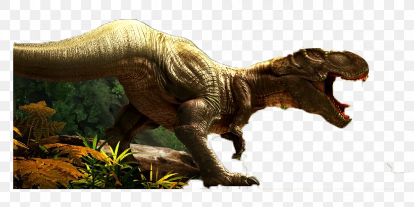 Tyrannosaurus Dinosaur Fossils Jurassic, PNG, 1000x500px, Tyrannosaurus, Dinosaur, Dinosaur Fossils, Extinction, Fauna Download Free