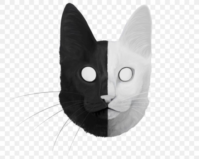 Whiskers Cat Black White Snout, PNG, 1000x798px, Whiskers, Black, Black And White, Black Cat, Black M Download Free