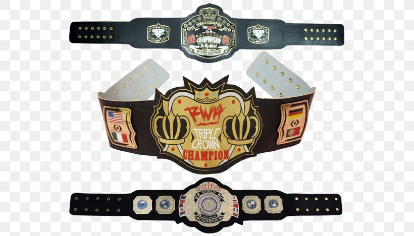 Championship Belt Professional Wrestling Championship, PNG, 545x468px, Watercolor, Cartoon, Flower, Frame, Heart Download Free