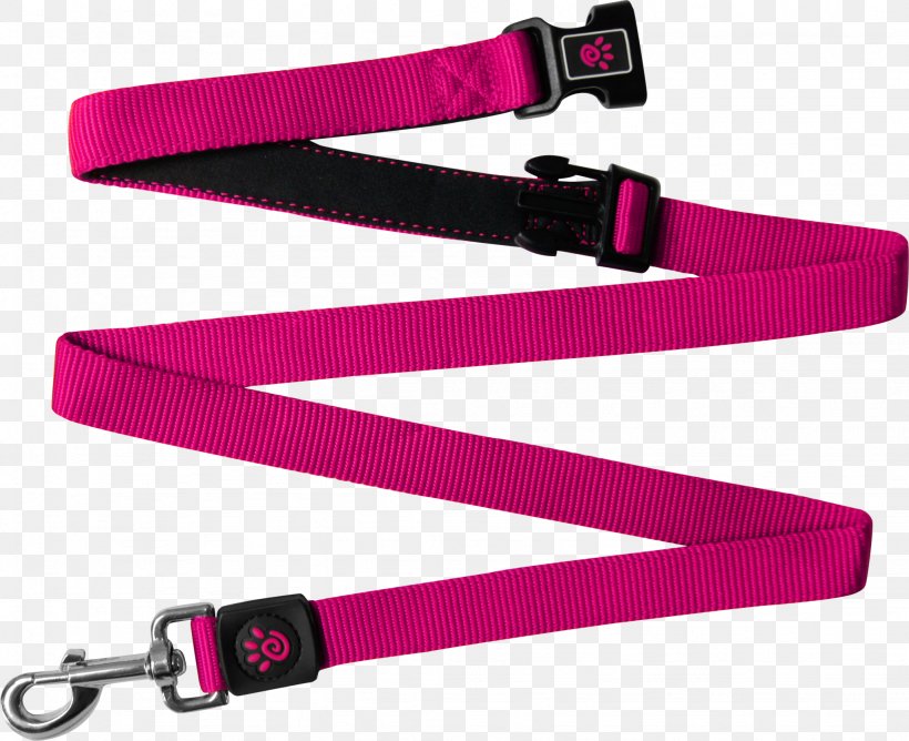 Leash Dog Nylon Strap Customer Review, PNG, 2048x1669px, Leash, Color, Customer Review, Dog, Fashion Accessory Download Free