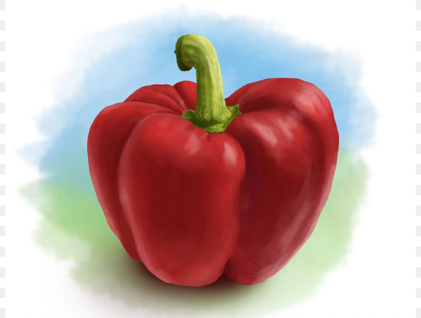 Tabasco Pepper Painting Digital Art Clip Art, PNG, 800x619px, Tabasco Pepper, Accessory Fruit, Acerola, Apple, Art Download Free