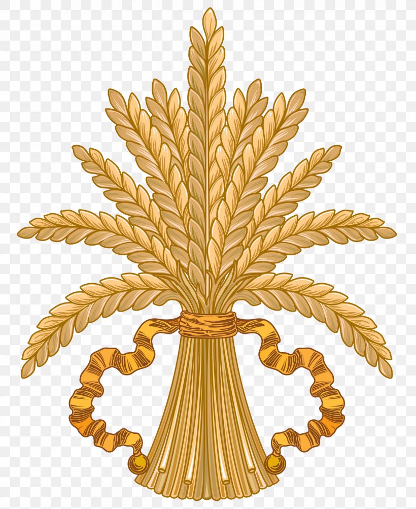 Wheat Caryopsis Clip Art, PNG, 1772x2168px, Wheat, Bran, Cereal, Commodity, Ear Download Free